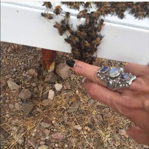 Hi - Picture 12 of 13